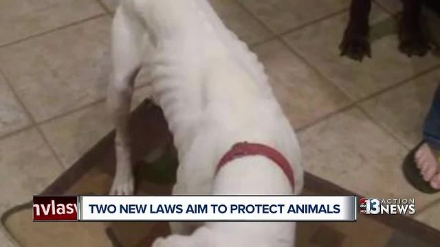 Two new laws to protect Nevada animals go into effect Oct. 1