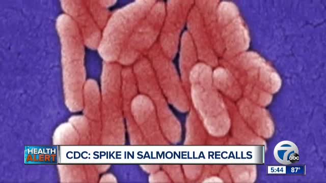 Ask Dr. Nandi: Why so many products are being recalled over salmonella concerns?