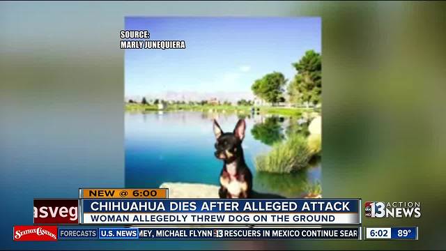 Woman says dog died after being slammed to the ground at local dog park