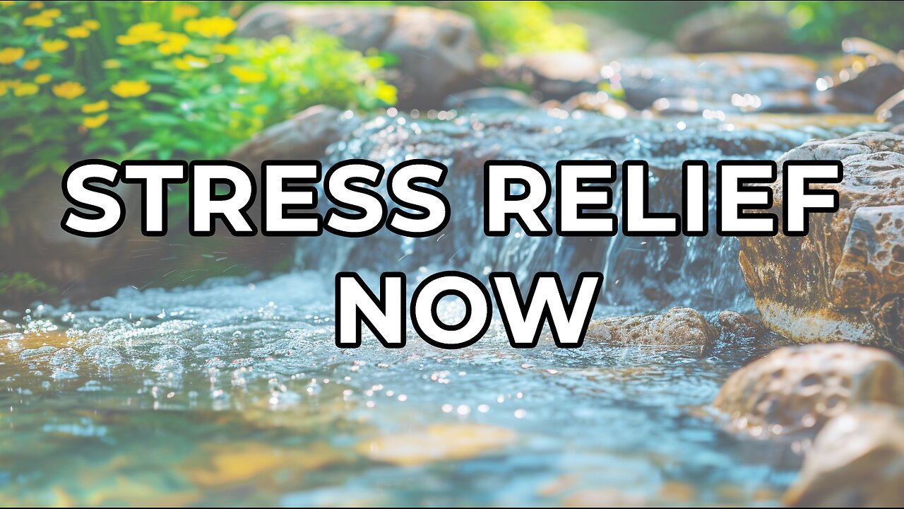 Quick Stress Relief: 5-Minute Ambient Music with Water Sounds and Nature Footage