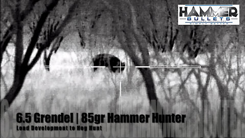 6.5 Grendel 85 Hammer Hunter Load Development to Hog Hunt