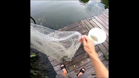 A surprise in the cast net