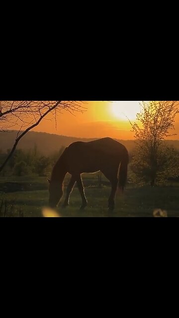 THE GODLY QUALITY OF GENEROSITY - DAILY DEVOTIONAL ❤️