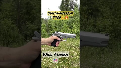 🔥Pick ONE…please Comment Below 👇 🇺🇸#shorts #alaska #trending