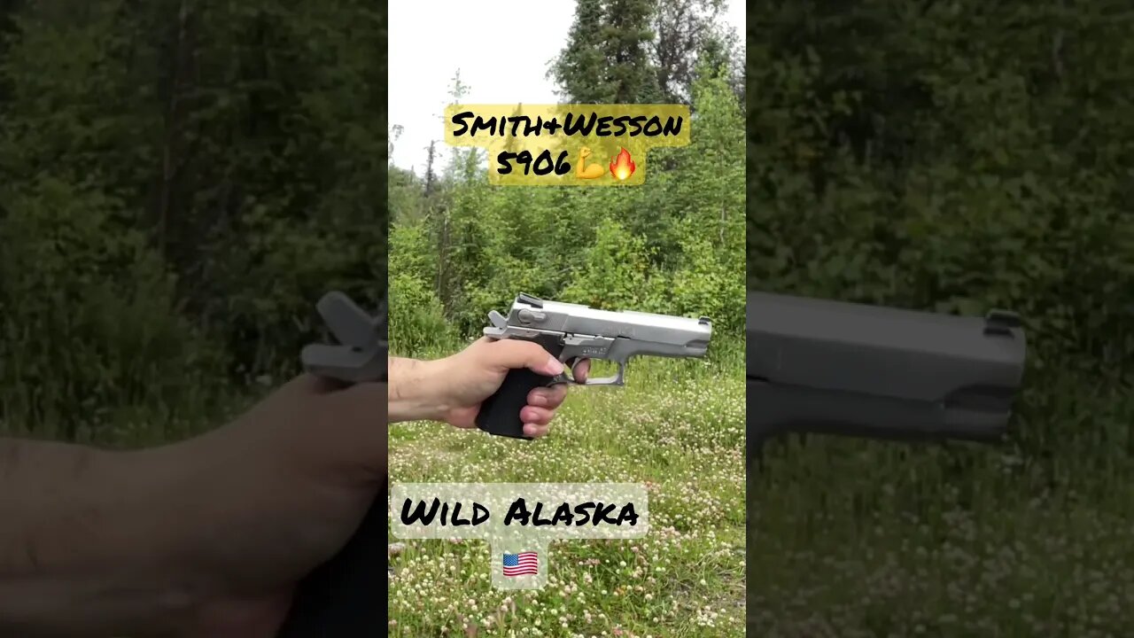 🔥Pick ONE…please Comment Below 👇 🇺🇸#shorts #alaska #trending