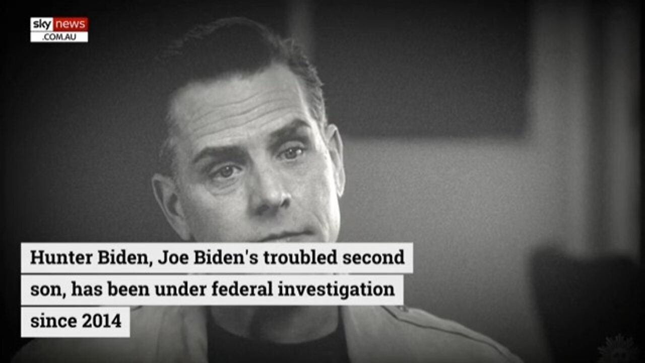 HUNTER BIDEN LOOKING AT 'DECADES BEHIND BARS'