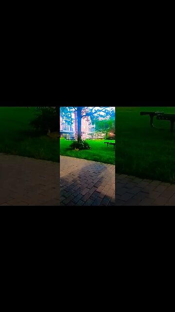 Bunnies in the hood.