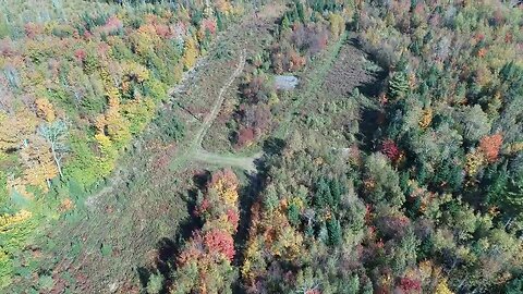 New tracks by power lines.