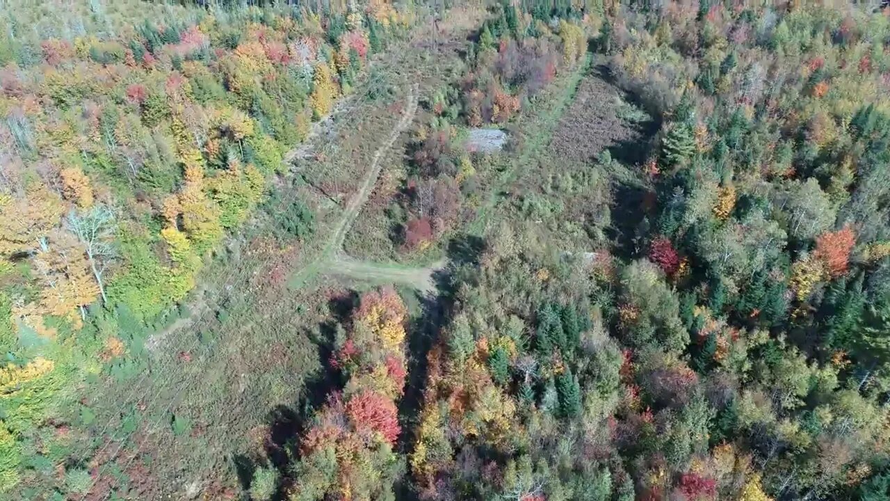 New tracks by power lines.