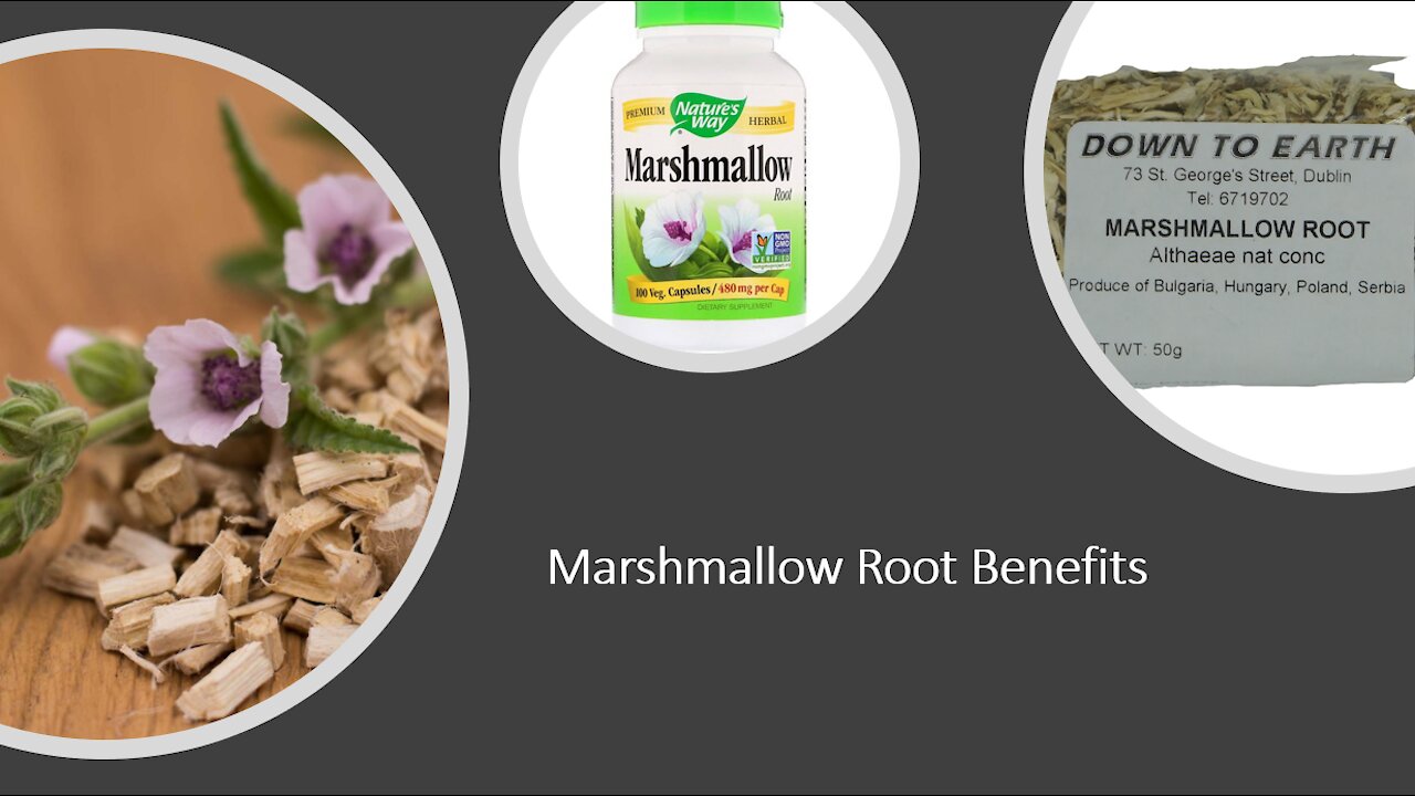 Marshmallow Root Benefits