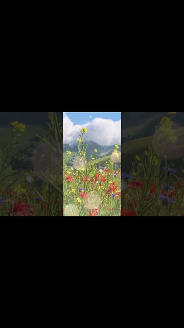 1 Minute Meditation I'M GRATEFUL FOR MY STRENGTH #shorts #youtubeshorts #1minutemeditation