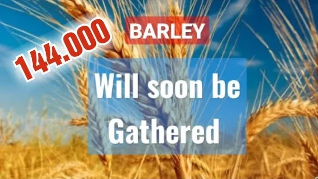 144,000🔺️BARLEY WILL SOON BE TRANSFORMED #bible #jesus #2023 #share #israel