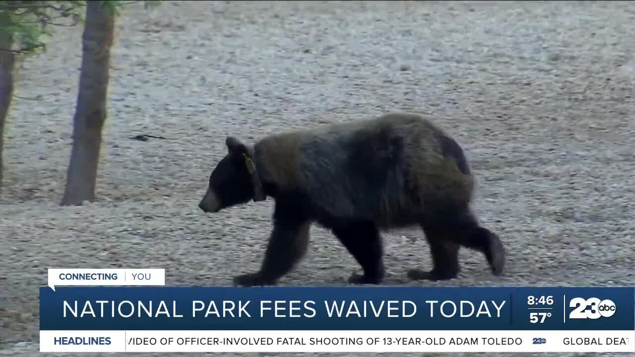 National Park fees waived today