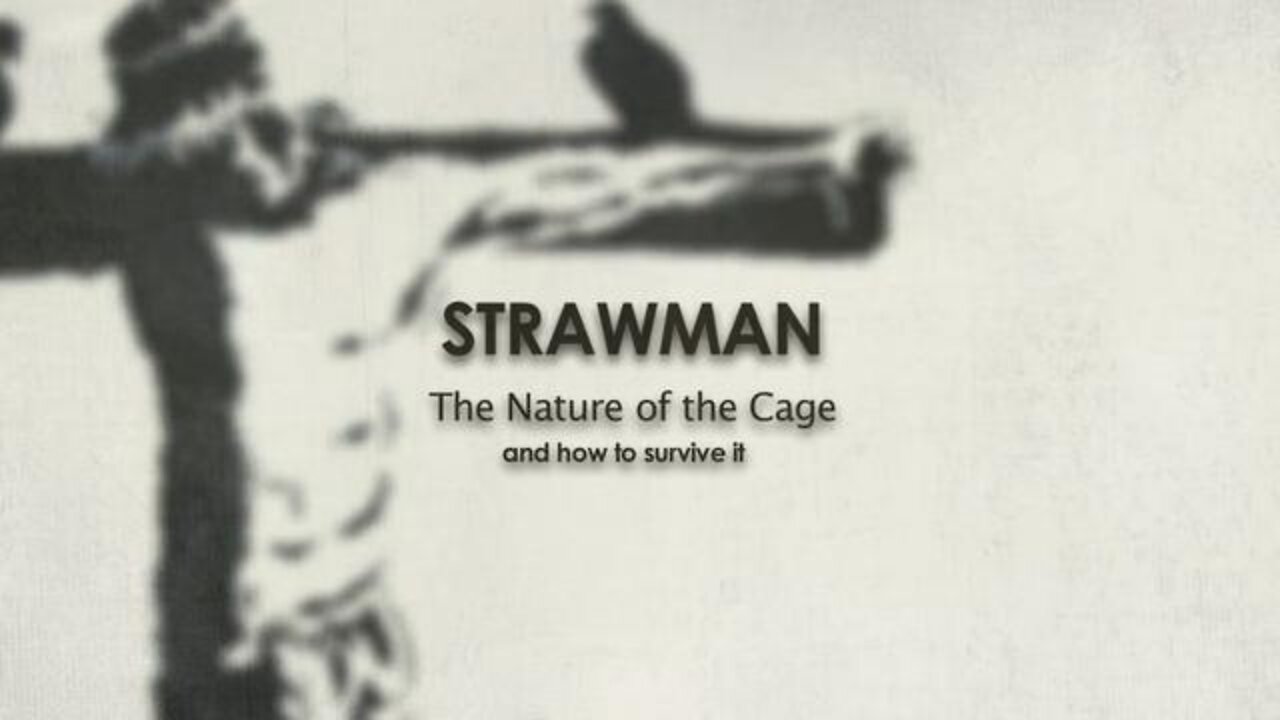 Strawman - The Nature Of The Cage
