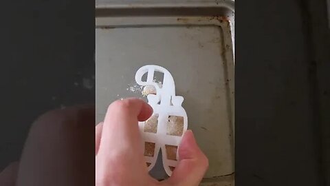 Cat Tiktok itssmilebeach