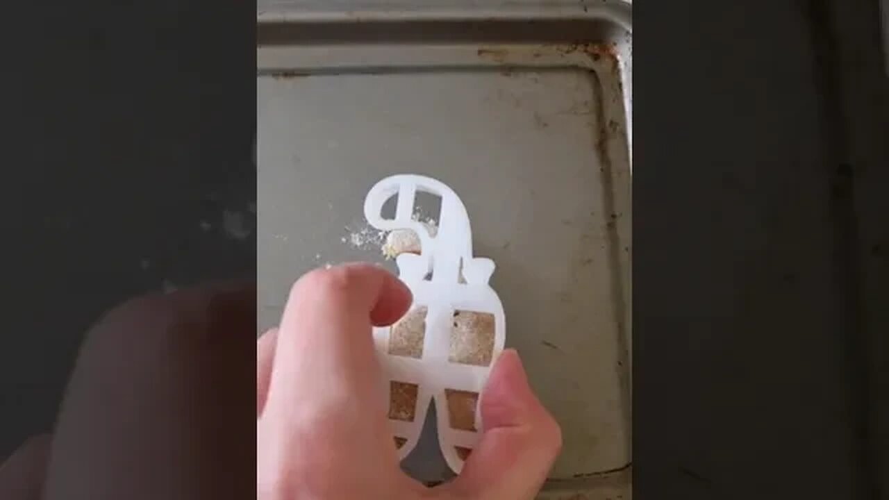 Cat Tiktok itssmilebeach