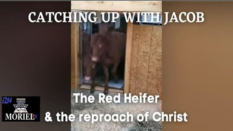 CUWJ 95: Red Heifer and the Reproach of Christ