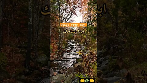 #بسم_الله_نبدأ #رقية_شرعية #دعاء_مستجاب #دعاء_الصباح #allahﷻ