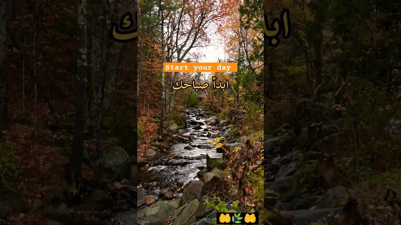 #بسم_الله_نبدأ #رقية_شرعية #دعاء_مستجاب #دعاء_الصباح #allahﷻ