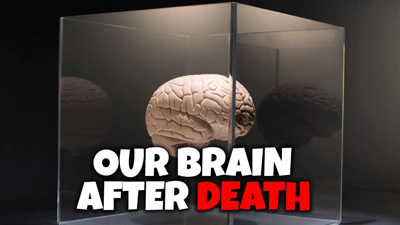 WHAT HAPPENS TO YOUR BRAIN WHEN YOU DIE? | AMAZING BRAIN FACTS | NERVES IN THE BRAIN