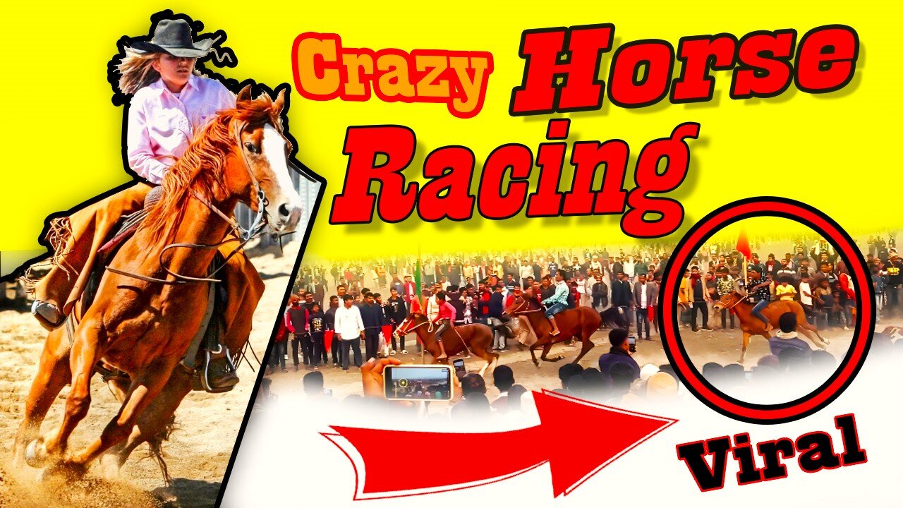 Horse Race Live | Most Crazy Horse Racing - Horse Riding Competition Video by Notun Luxury