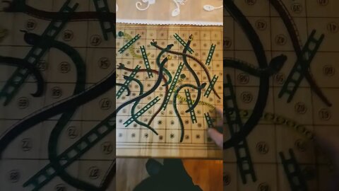 THE SECRETS OF LIFE AN ADDITION TO THE CONTEXT SNAKE S A N D LADDER Z