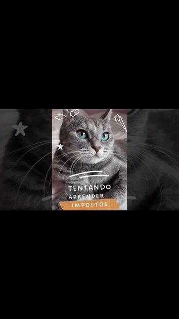 05 Impostos Federais #shorts