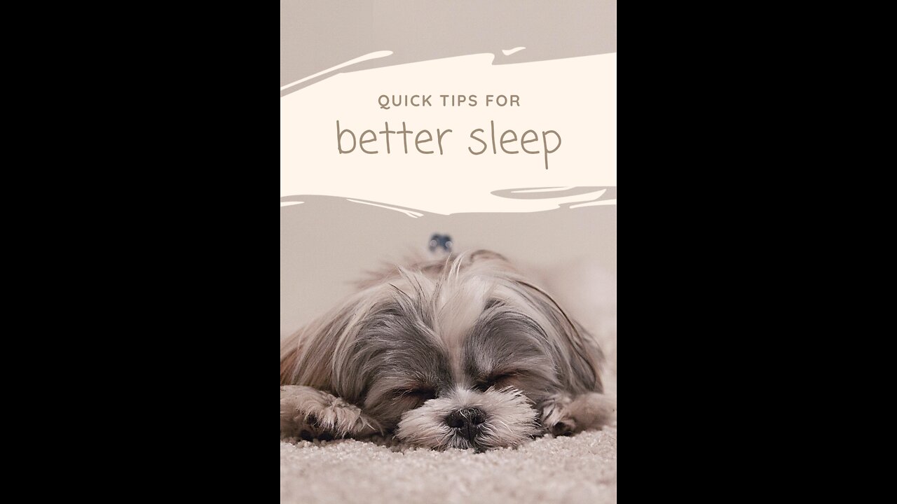 How To Train Your Puppy