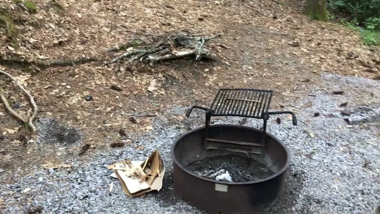 The Pine Cone Toss