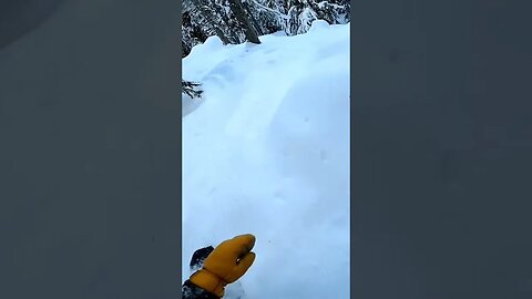 Look ahead watch out for flat spots #short #shorts #snowboarding #snowboard #pow #powder #trees