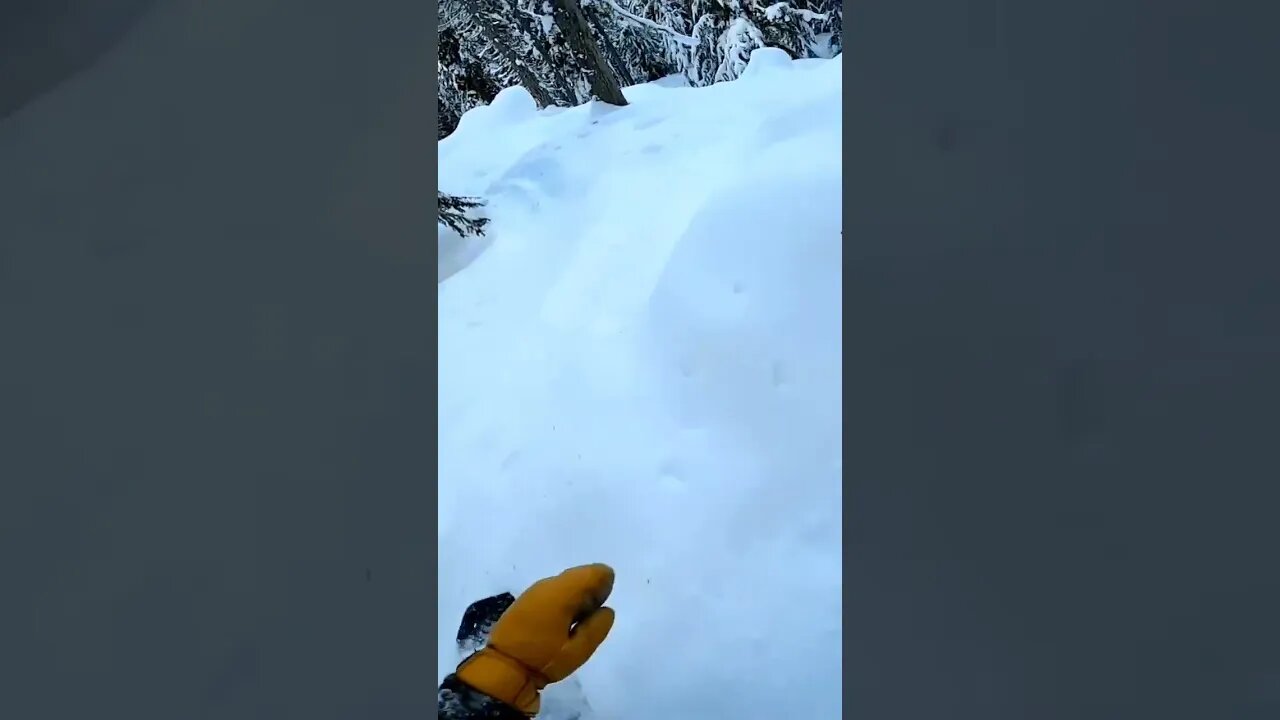Look ahead watch out for flat spots #short #shorts #snowboarding #snowboard #pow #powder #trees