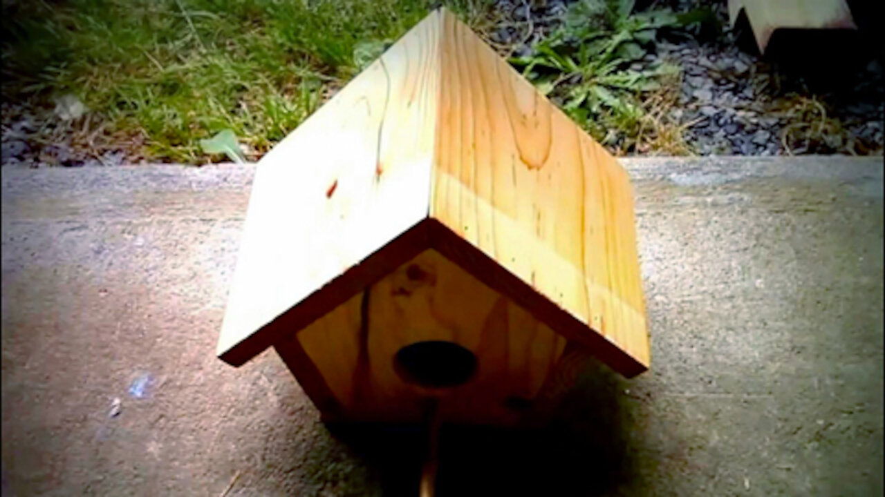 IECV WWV #01 | My First Bird House Slide Show 4-9-2013