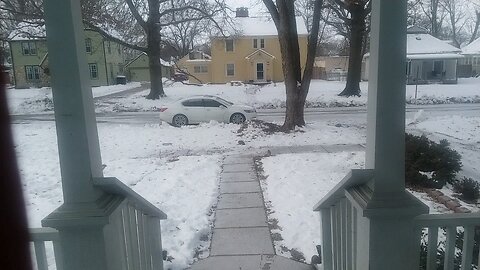 Two Squirrels just trying to survive the brutal cold winter