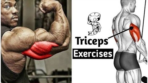 Traps Workout Home | Fitness workout | S7S GYM