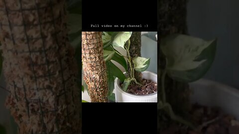 MY CURRENT FAVOURITES - check out the full video on my channel :)