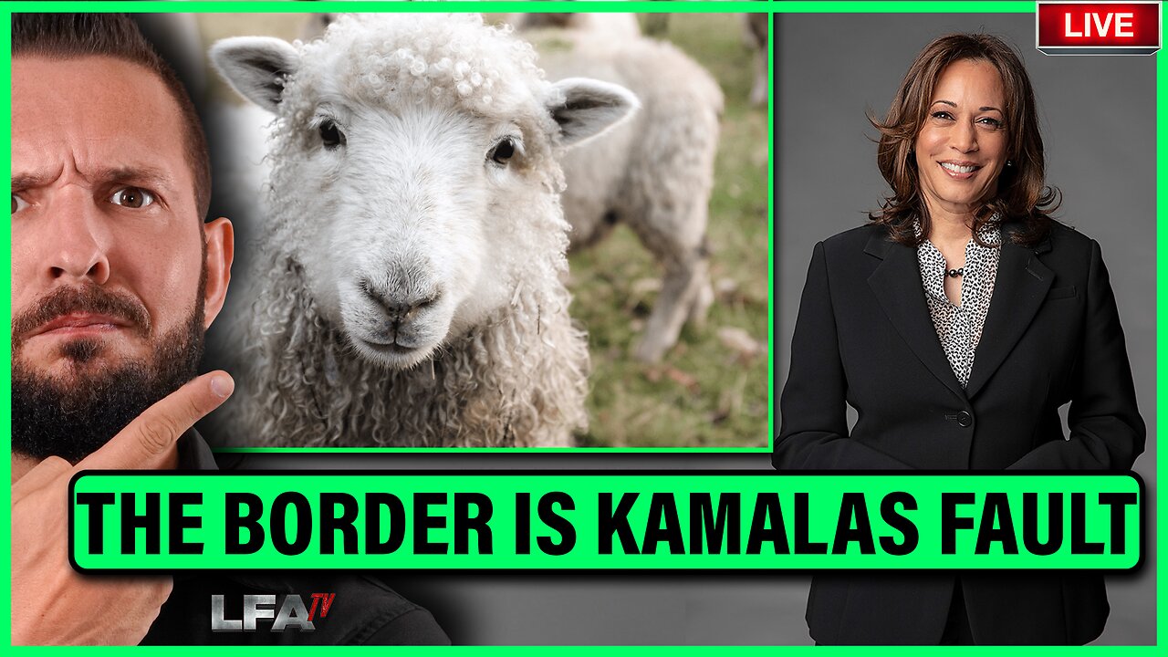 THE BORDER CRISIS IS KAMALAS FAULT SAYS REPUBLICANS WHO FUNDED THE INVASION | MATTA OF FACT 9.10.24 2pm EST