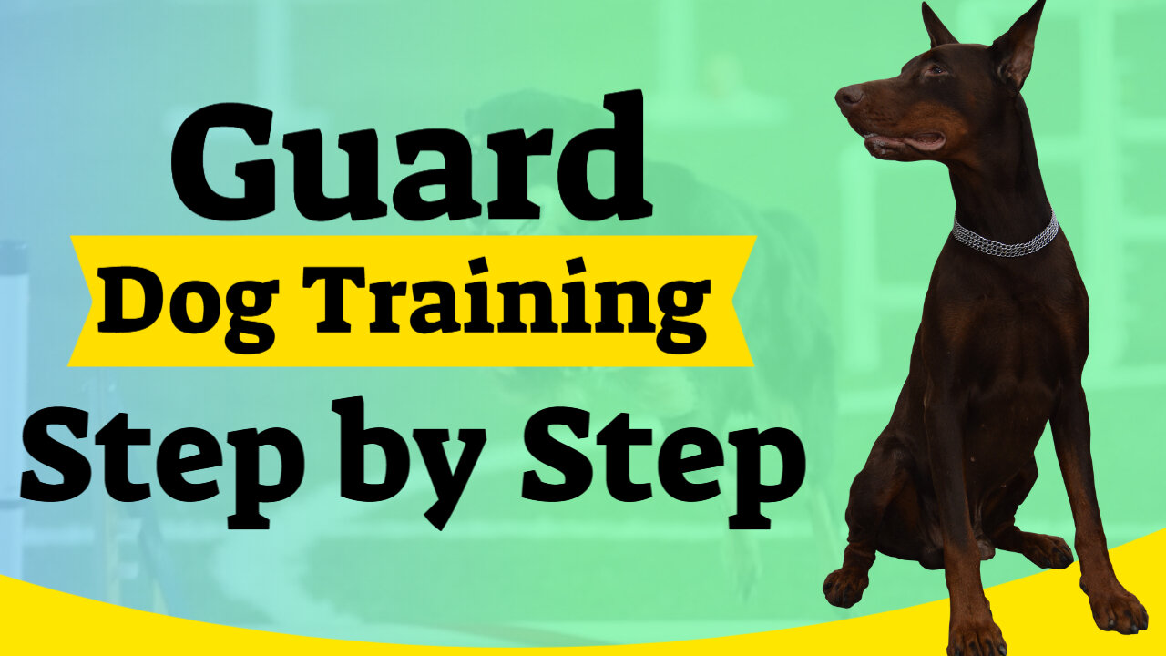 Guard Dog Training Step by Step!