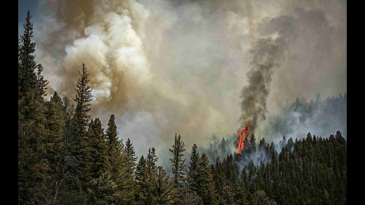 Massive New Mexico Fire Traced to Planned Burns