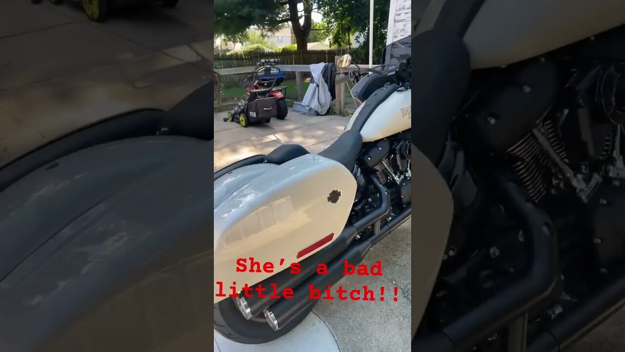 She’s A Bad Little Bitch‼️#harley#harleydavidson#lowrider #lowriderst #shorts #shortvideo