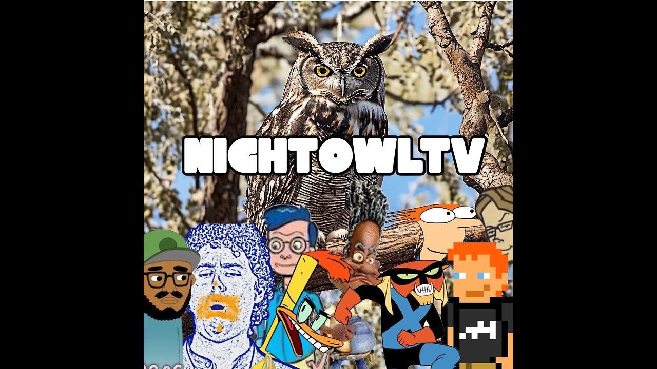 ADULT SWIM / MTV / COMEDY CENTRAL BOOTLEG BROADCAST NIGHTOWLTV #3