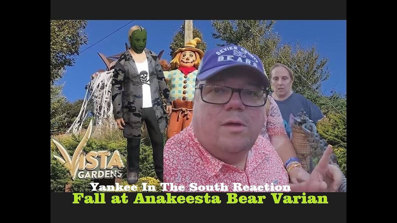 Yankee In The South Reaction - Fall at Anakeesta Bear Varian - TOW & Denise