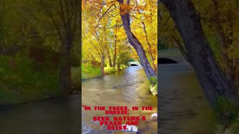 Beautiful Nature Relaxing running water sounds Relaxing Nature Sounds