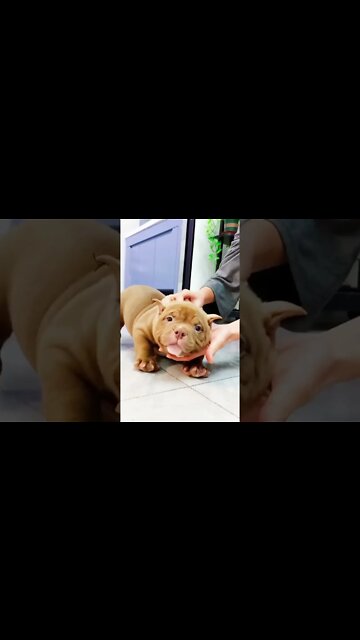 Cute adorable baby 🤩 funny baby playing, laughing, dancing, with mamma at home