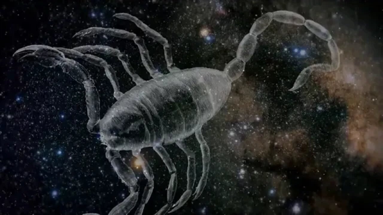 Constellations $ $ The $ Beautiful $ Nebulas $ And $ Galaxies $ Within $ Them Cosmic Vistas Spark
