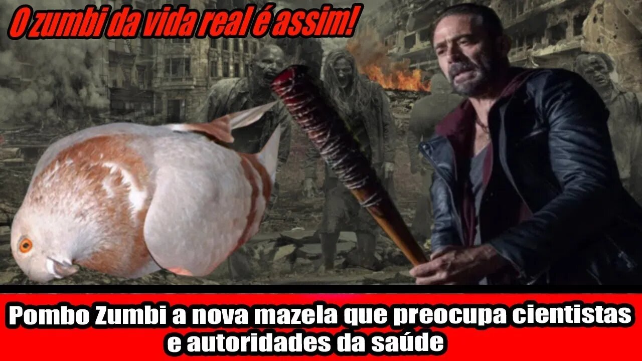 POMBO ZUMBI A NOVA MAZELA QUE PREOCUPA CIENTISTAS E AUTORIDADES DA SAÚDE!!!