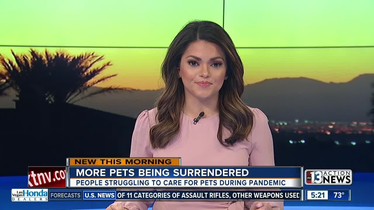 Animal rescue groups struggle with uptick of pet surrenders due to COVID-19