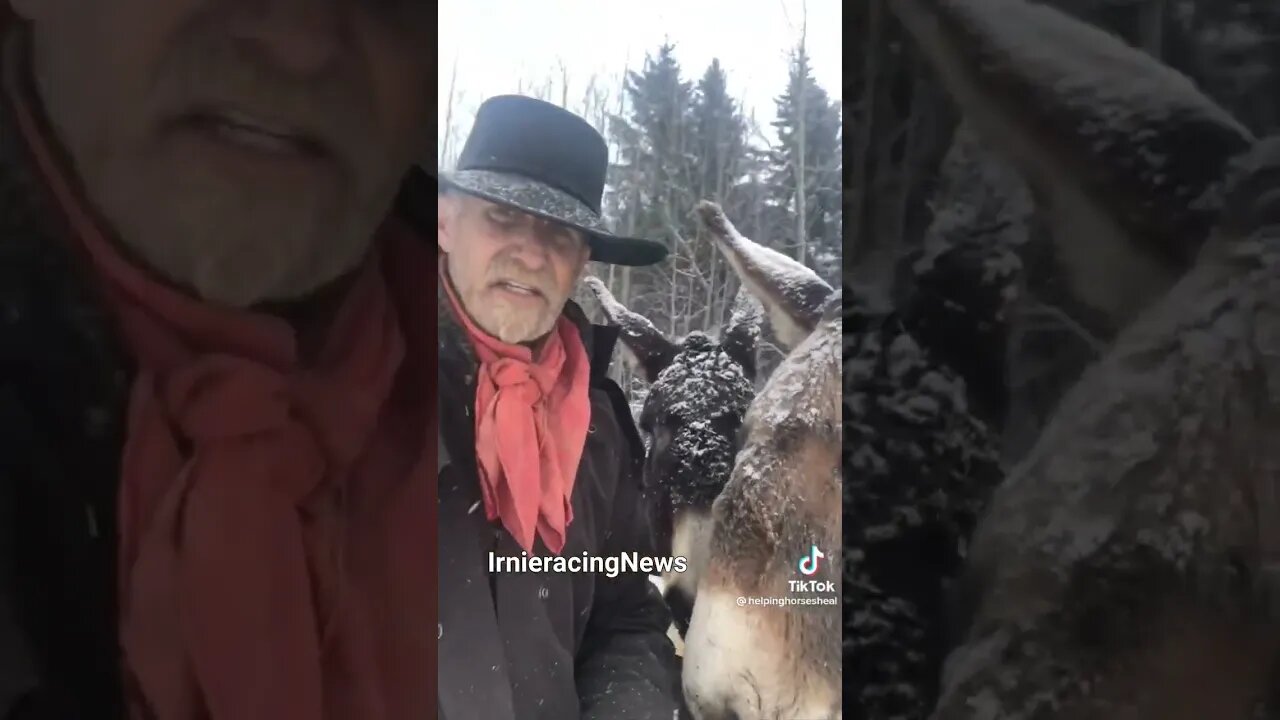 REAL CDN COWBOY Asks Freeland & Trudeau a question