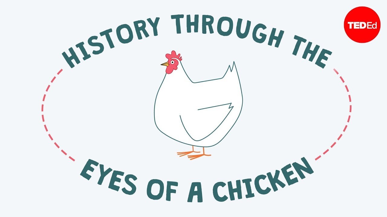 History through the eye of a chicken