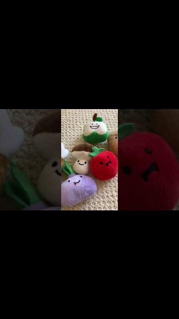 Hide-and-seek Stuffed Turkey Dog Toy