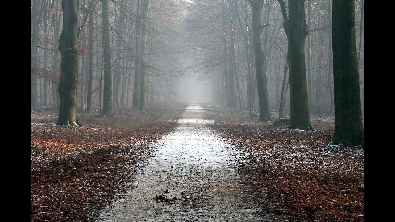 True Scary Stories Told in the Snow